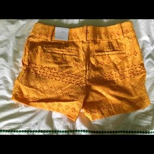 Ann Taylor Loft Shorts